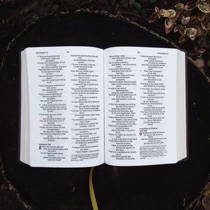 NIV, Larger Print Compact Bible, Red Letter Edition, Comfort Print