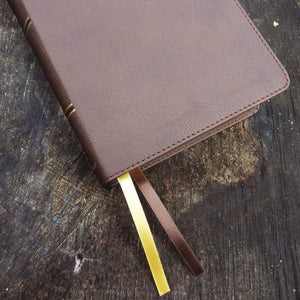 NIV, Larger Print Compact Bible, Red Letter Edition, Comfort Print