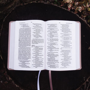 NIV, Larger Print Compact Bible, Red Letter Edition, Comfort Print