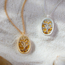 Load image into Gallery viewer, Mustard Seed Necklace