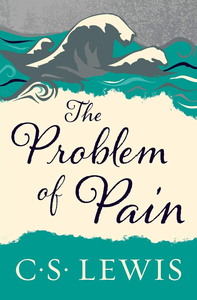 The Problem of Pain