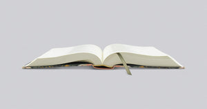 ESV Single Column Journaling Bible, Artist Series (Ruth Chou Simons, Be Transformed)
