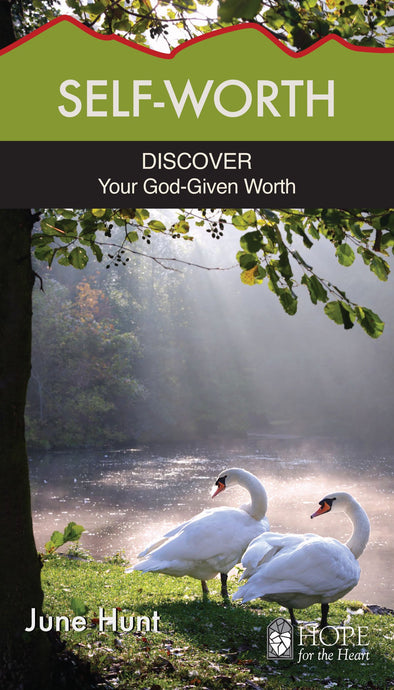 Self-Worth - Discover Your God Given Worth by June Hunt