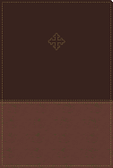 Amplified Study Bible, Imitation Leather, Brown, Indexed